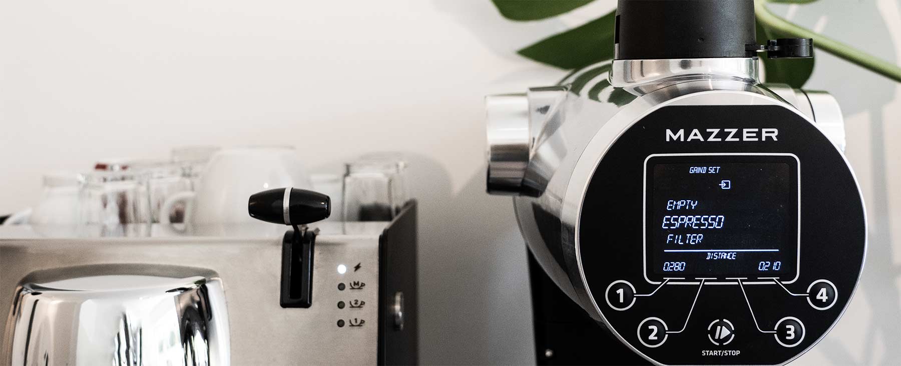 Mazzer