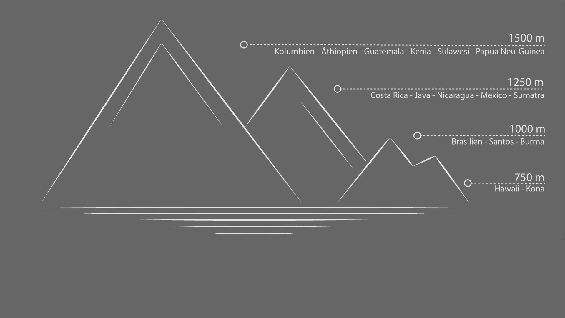 Kaffeegenuss in Bestform – Bohnen für deine Siebträgermaschine